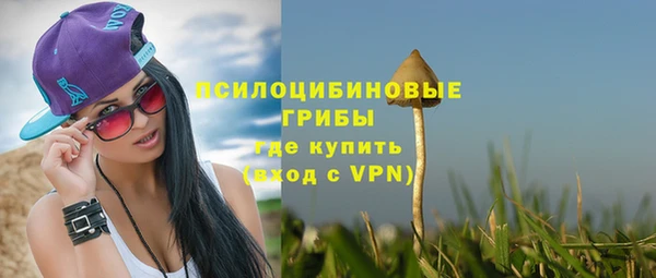а пвп мука Медвежьегорск