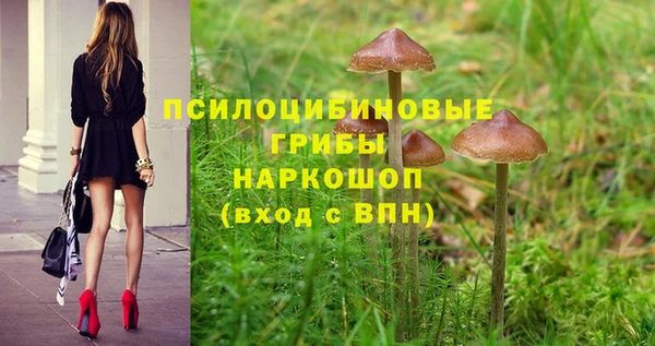 герыч Михайловск