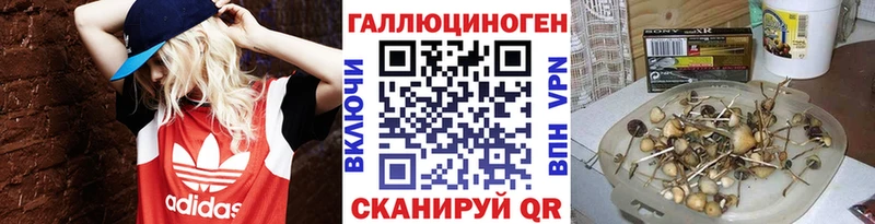 Галлюциногенные грибы Magic Shrooms  где можно купить   Дальнереченск 