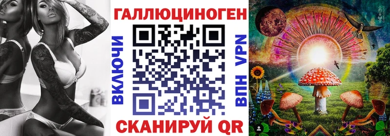 Псилоцибиновые грибы Psilocybe Дальнереченск