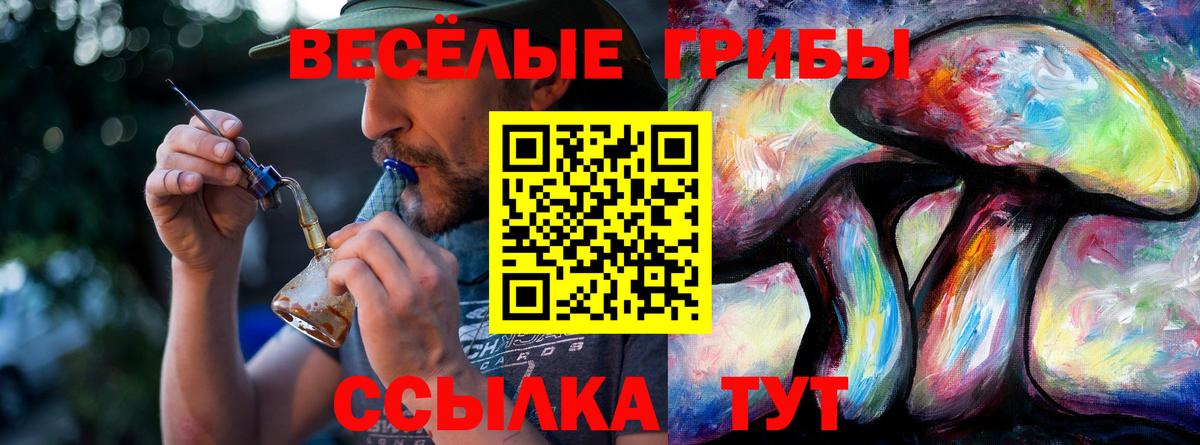 Дальнереченск  Псилоцибиновые грибы GOLDEN TEACHER  Вход с VPN 