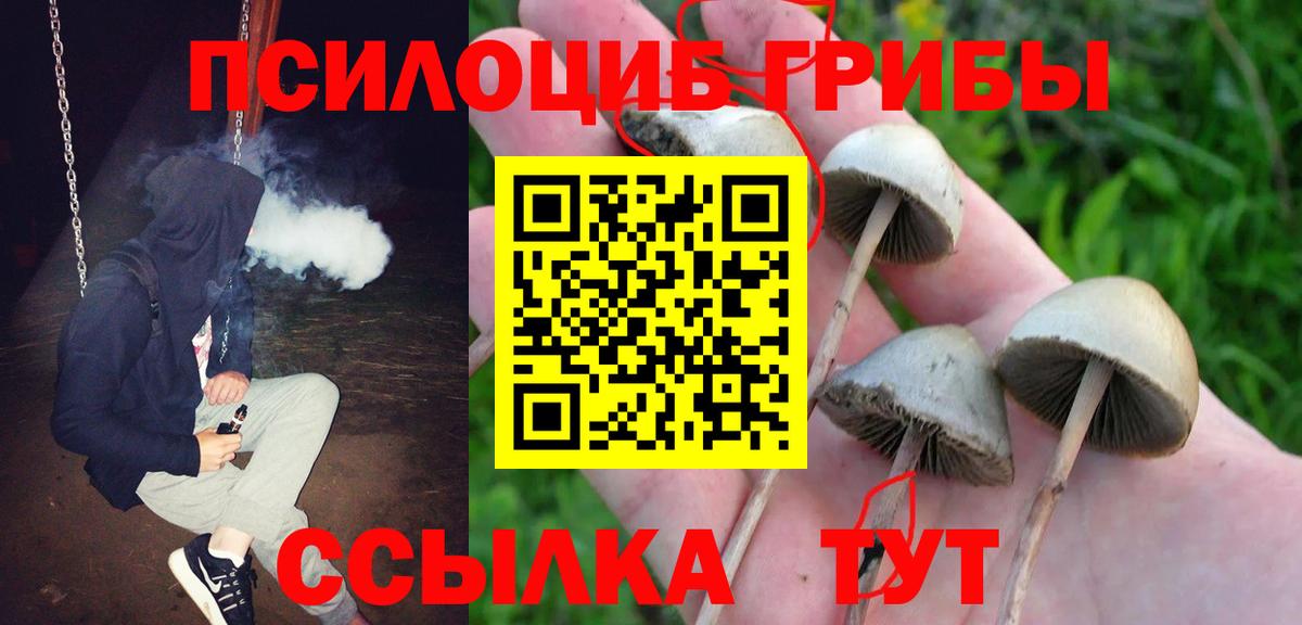 Галлюциногенные грибы Cubensis Дальнереченск